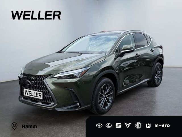 Lexus NX-Serie