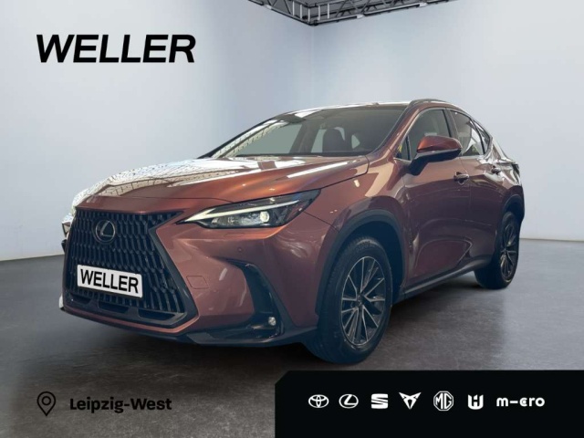 Lexus NX-Serie