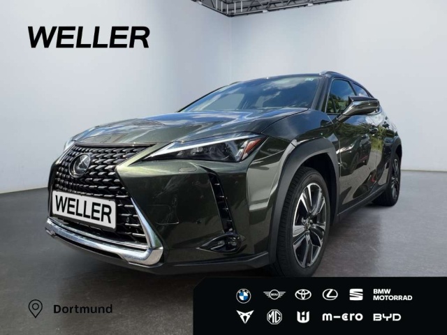 Lexus UX 250h