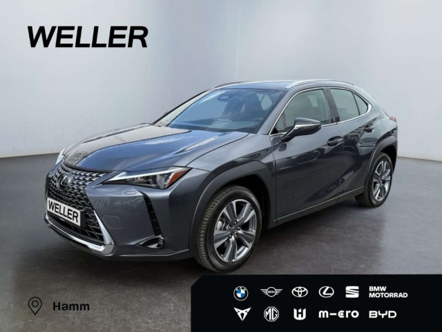 Lexus UX 300e