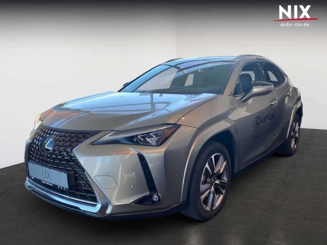 Lexus UX 300e