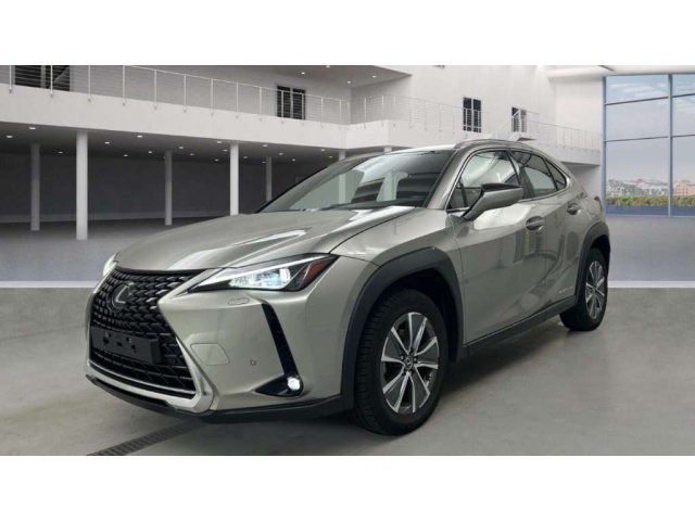 Lexus UX 300e