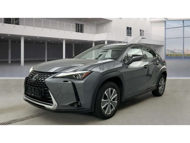 Lexus UX 300e