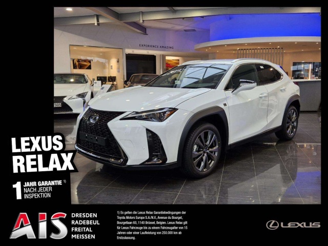 Lexus UX 300h