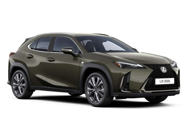 Lexus UX 300h