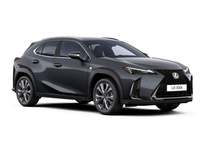 Lexus UX 300h