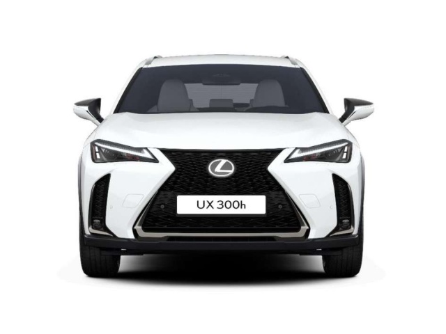Lexus UX 300h