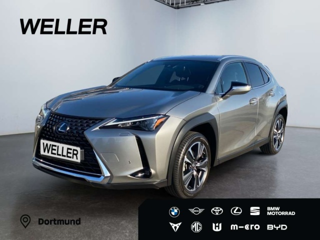 Lexus UX 250h