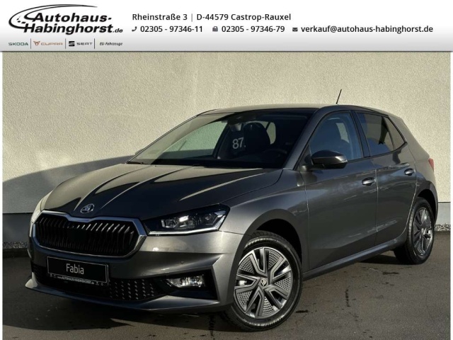 Skoda Fabia